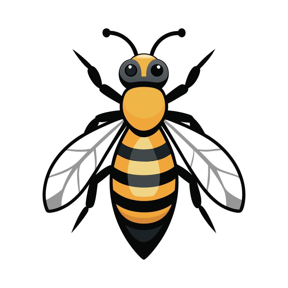 Anthophora Plumipes Artistic Representation vector