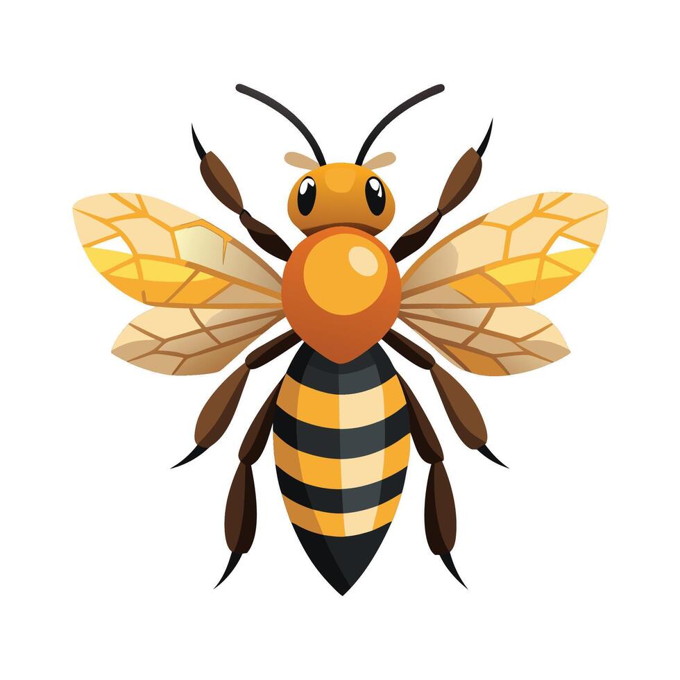 Apis Mellifera Creative Art vector