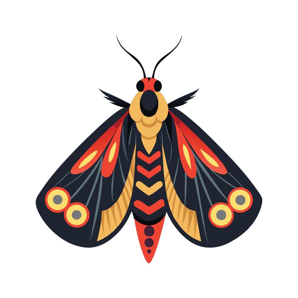 Automeris Belti Unique Graphic Design vector