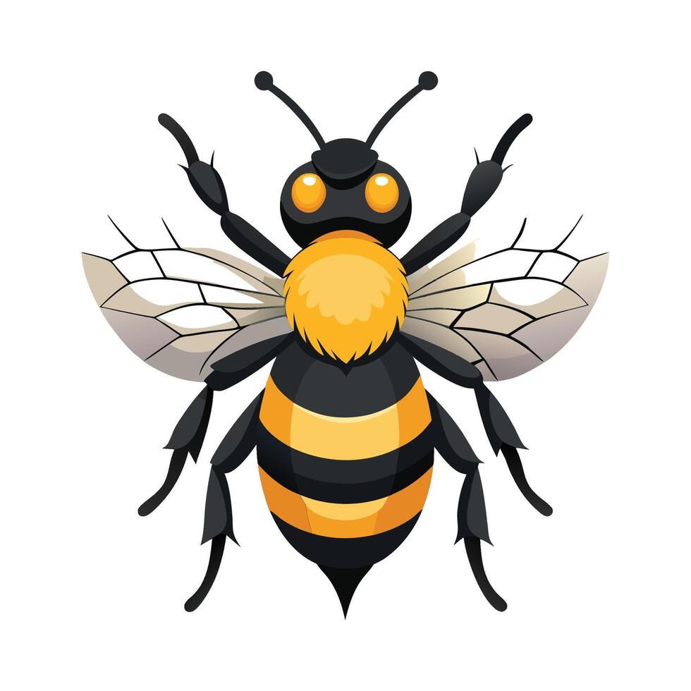Bombus Dahlbomii Stunning Illustration vector