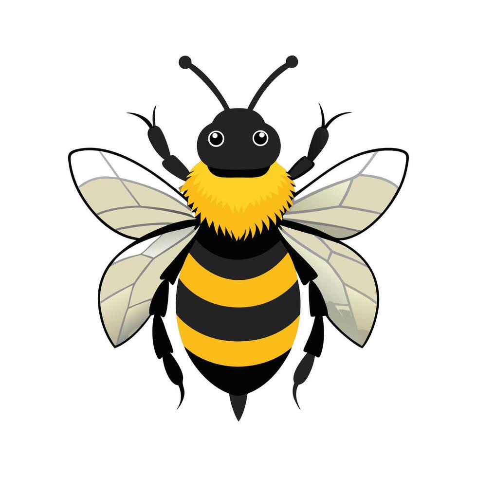 Bombus Terrestris Creative Design vector
