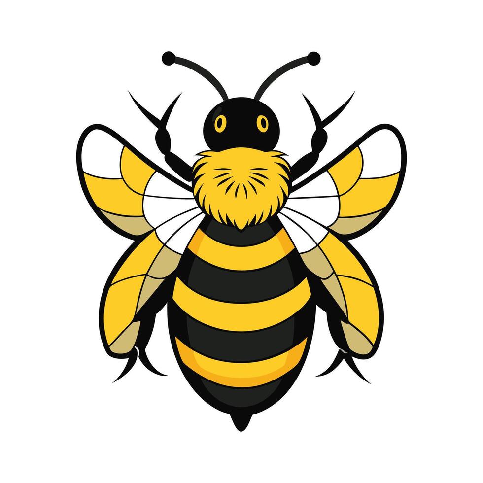 Bombus Terrestris Artistic Illustrated Design vector
