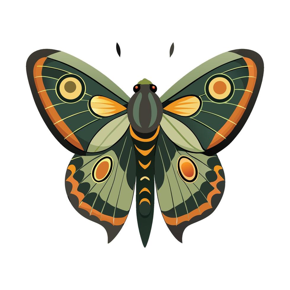 Caligo Eurilochus Creative Graphic Design vector