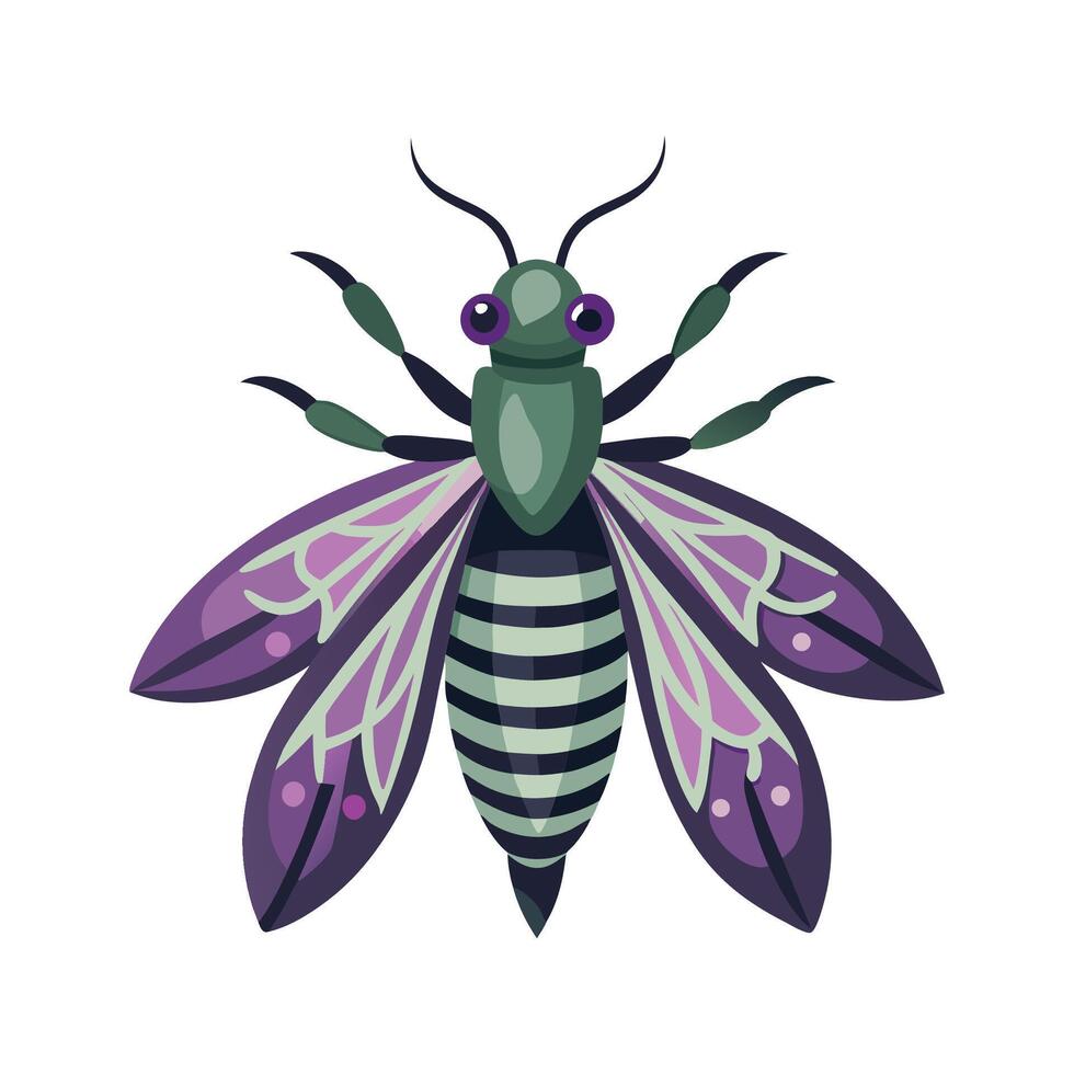 Centrus Pallida Stunning Graphic vector