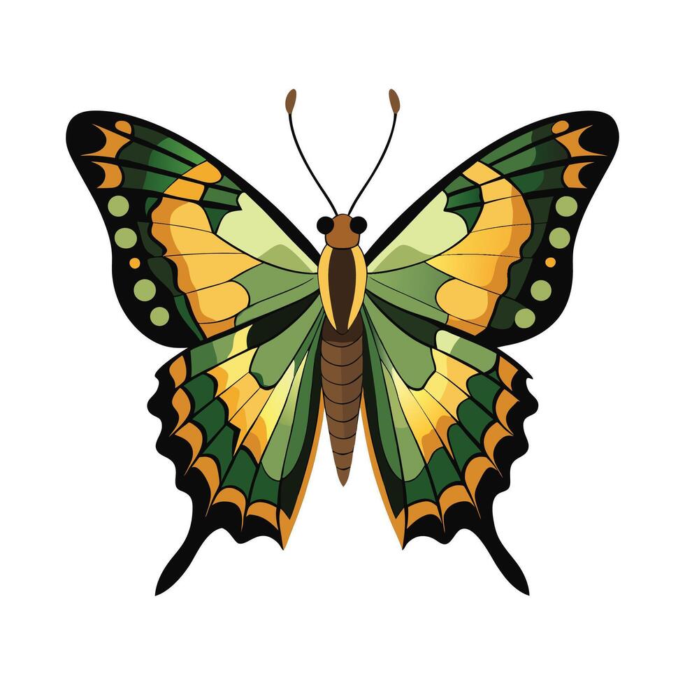 Charaxes Jasius Creative Graphic Representation vector