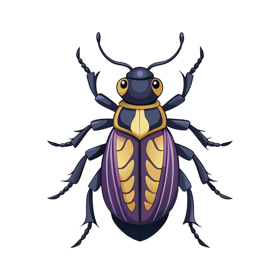 Chlamisus Sp Engaging Artwork vector