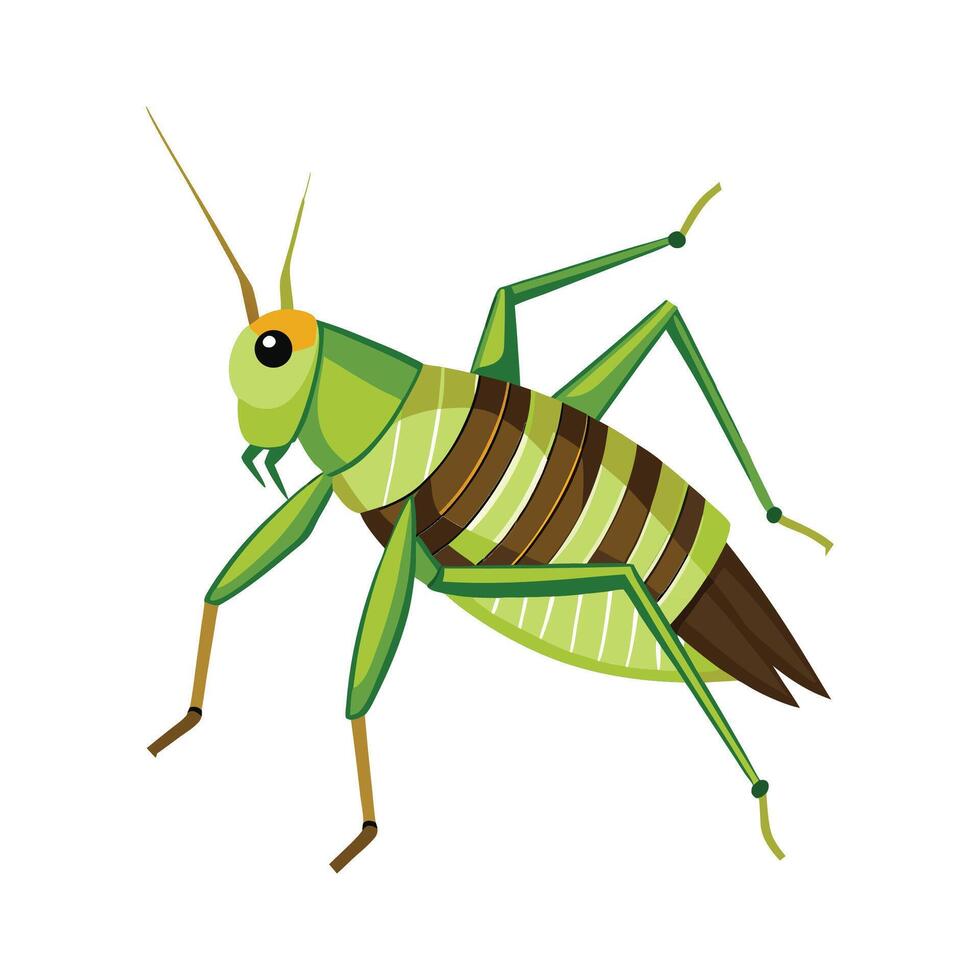 Chorthippus Brunneus Stunning Artwork vector