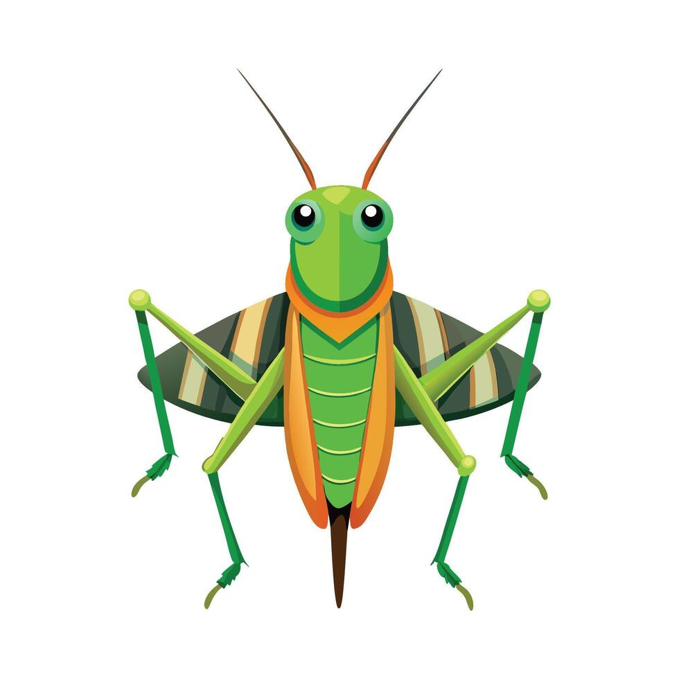 Chorthippus Brunneus Engaging Design vector