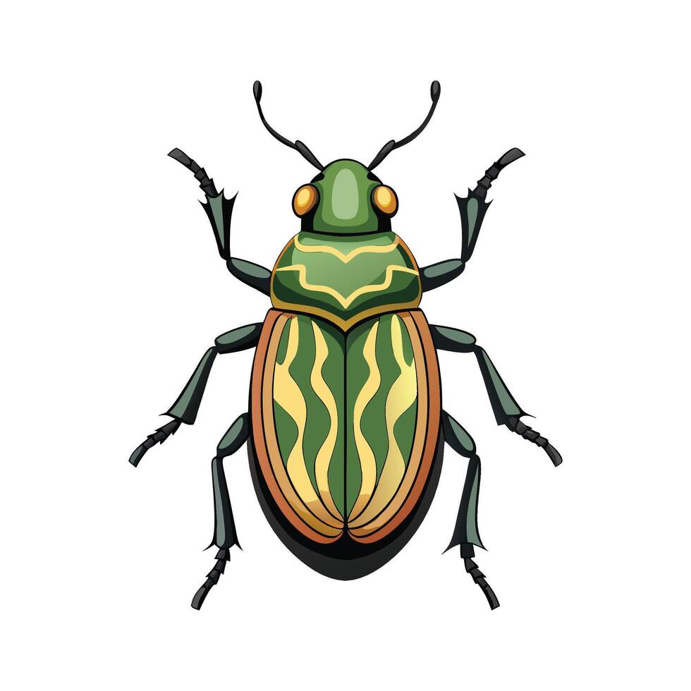 Chlamisus Sp Artistic Graphic Design vector