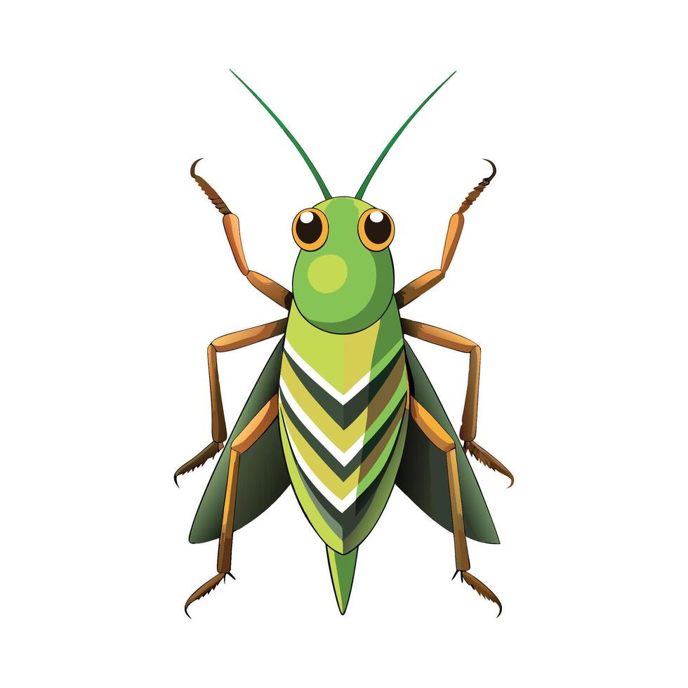 Chorthippus Brunneus Artistic Graphic Design vector