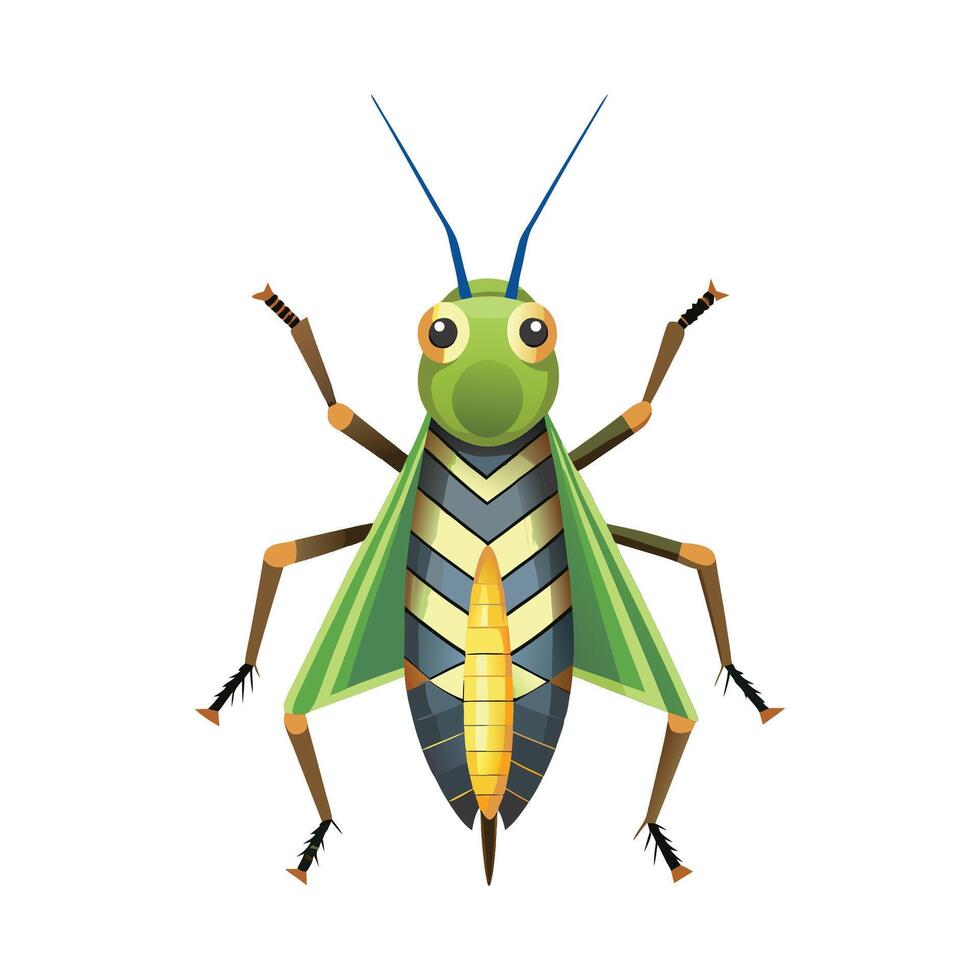 Chorthippus Parallelus Stunning Representation vector
