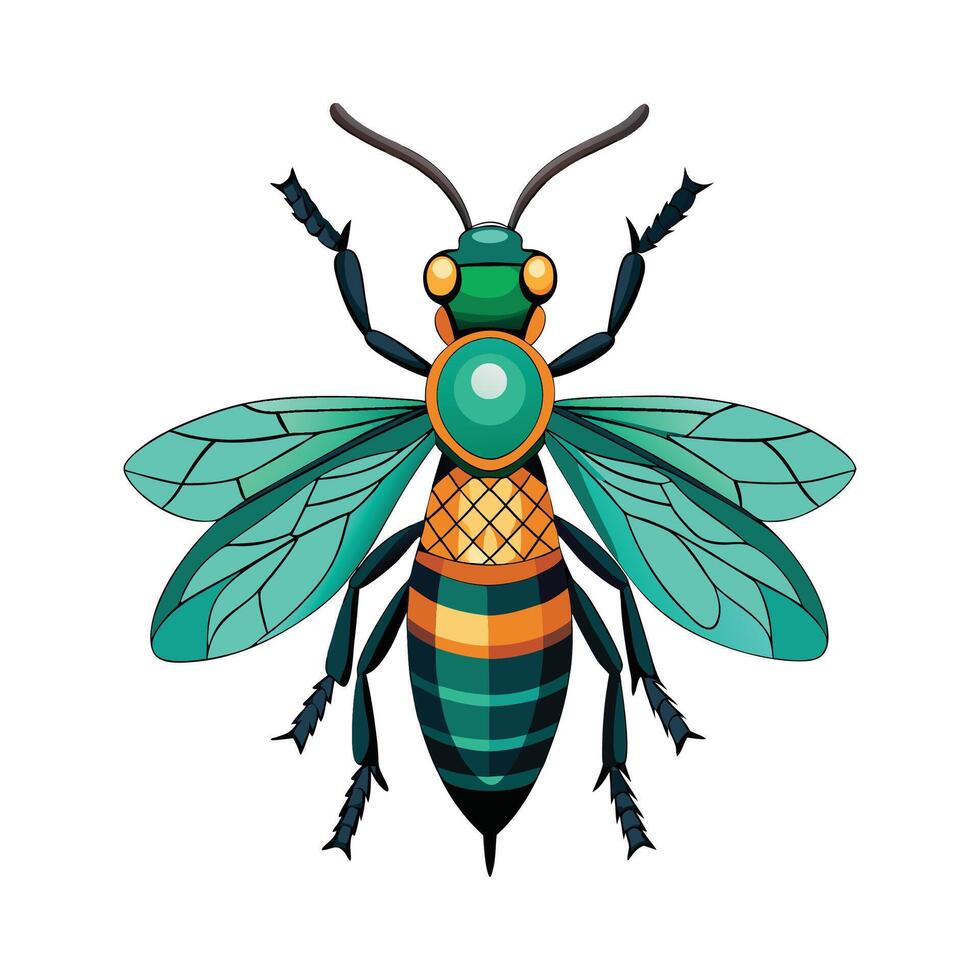 Chrysis Ignita Stunning Design vector