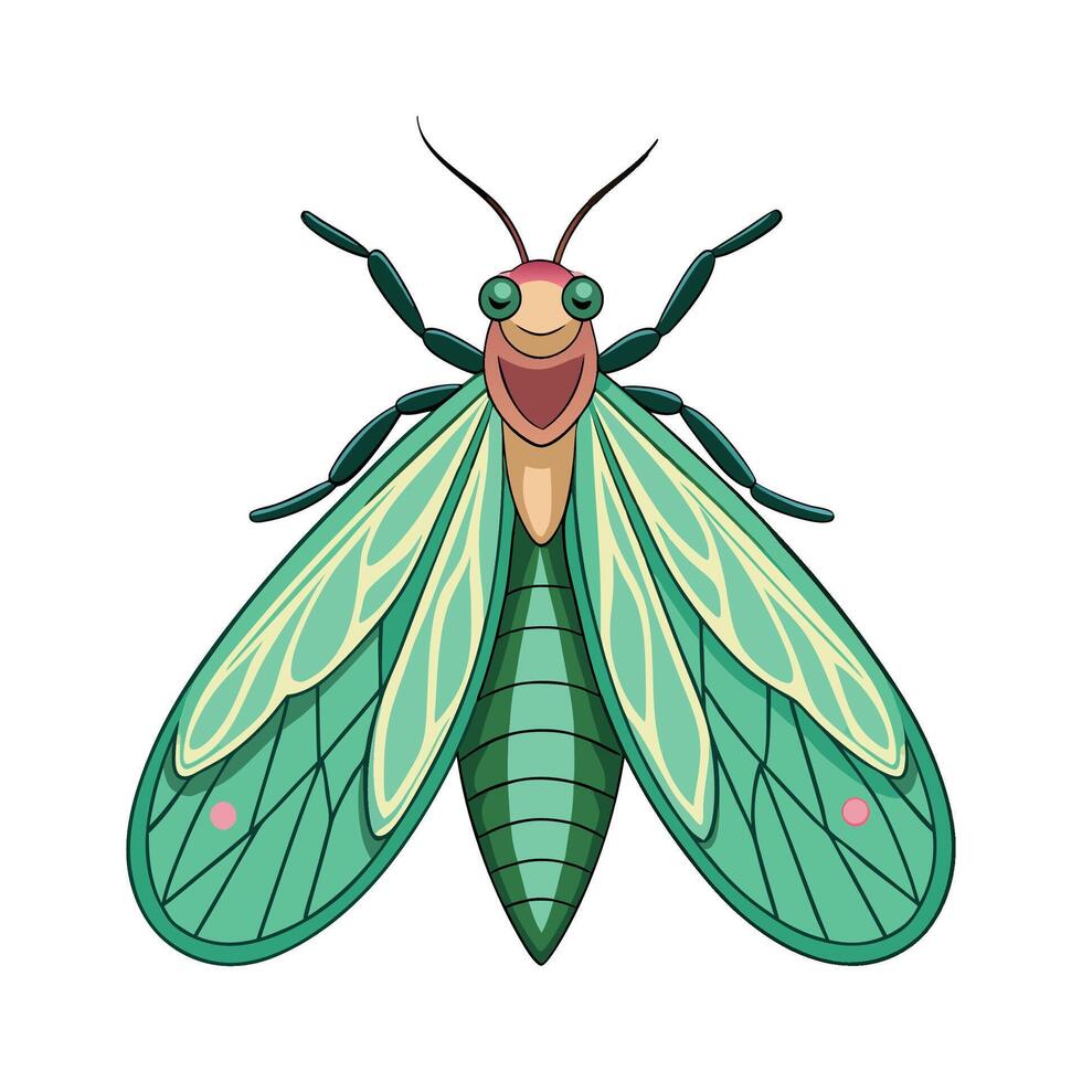 Chrysoperla Carnea Stunning Artwork vector