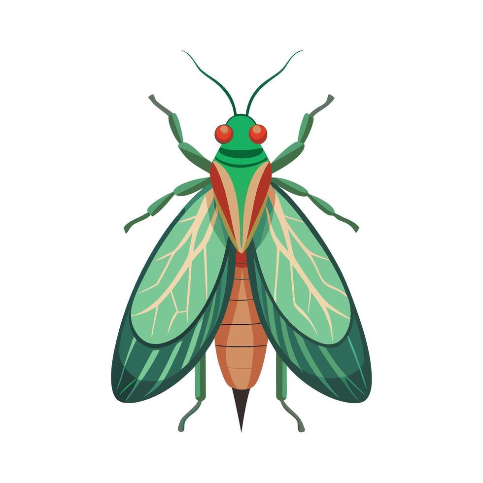 Chrysoperla Carnea Engaging Art vector