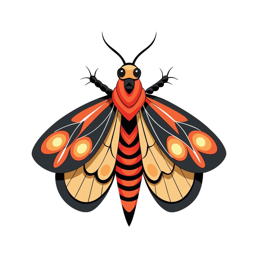 Citheronia Regalis Unique Design vector