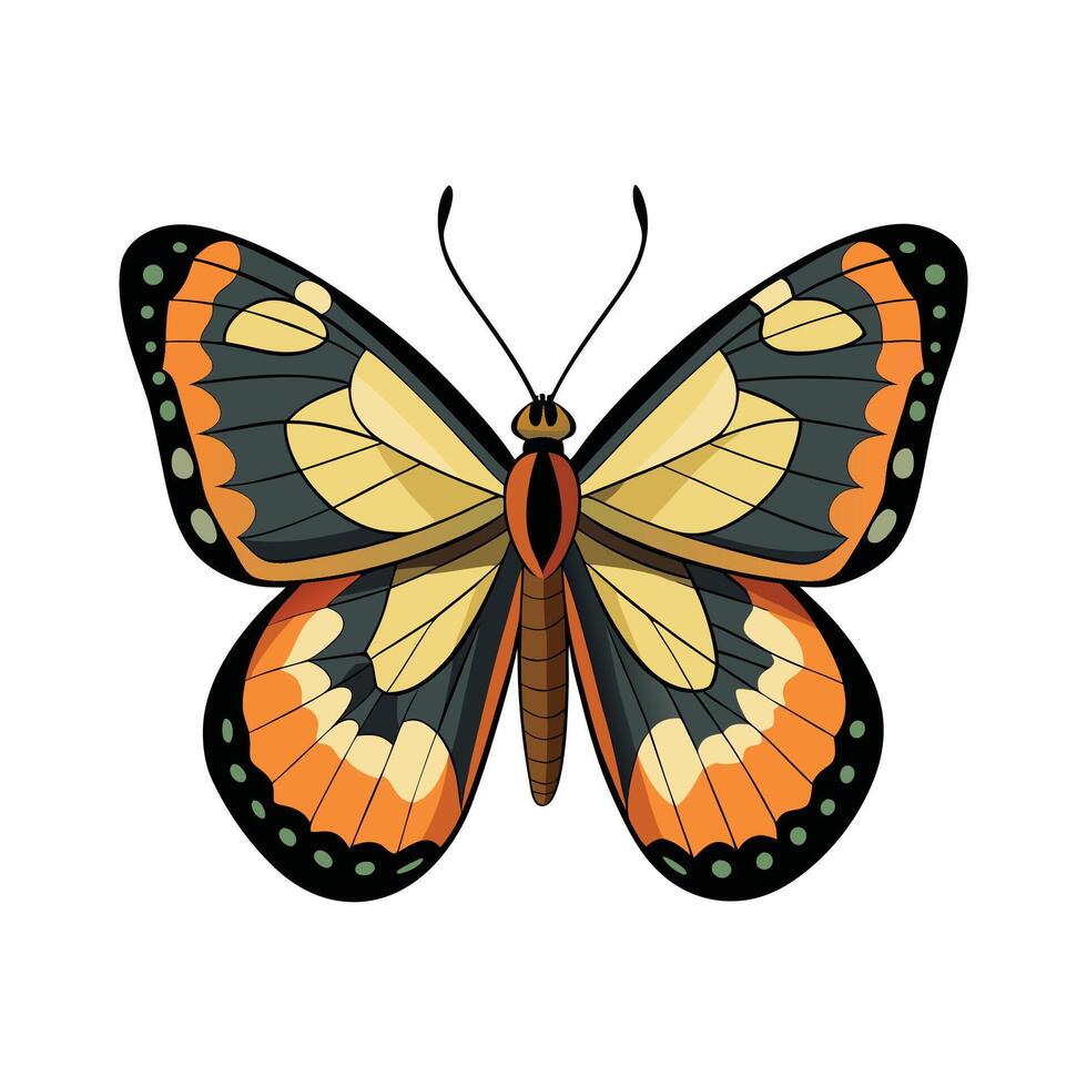 Colotis Danae Artistic Design vector