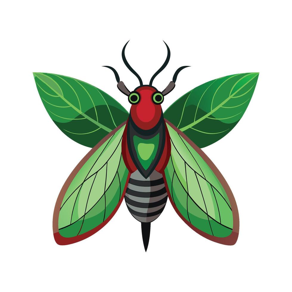 Criorhina Berberina Unique Design vector