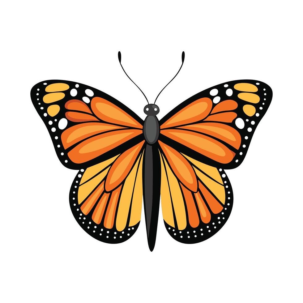 Danaus Plexippus Unique Representation vector