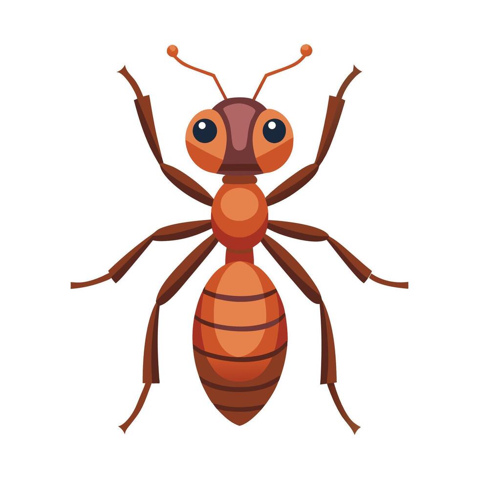 Eciton Burchellii Engaging Design vector