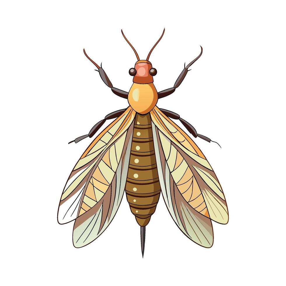Ephemera Vulgata Stunning Representation vector