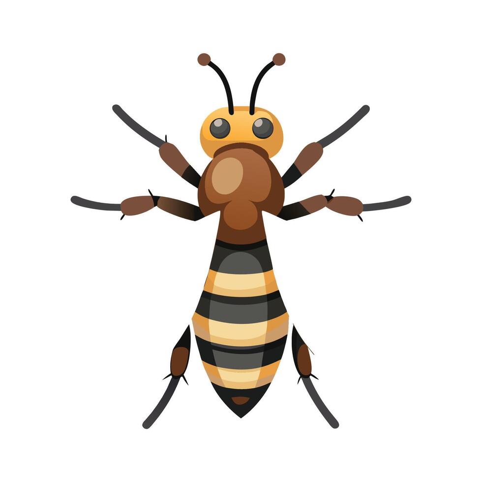 Eristalinus Taeniops Engaging Design vector