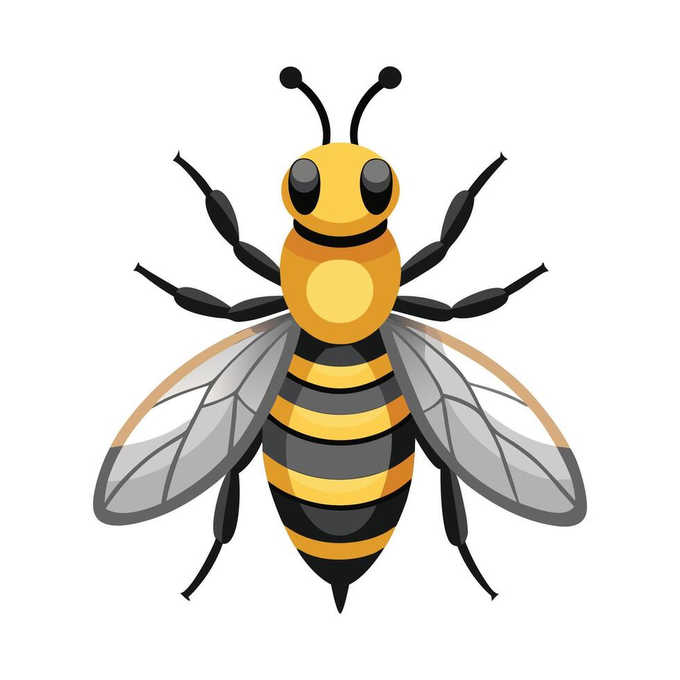 Eristalis Tenax Artistic Design vector