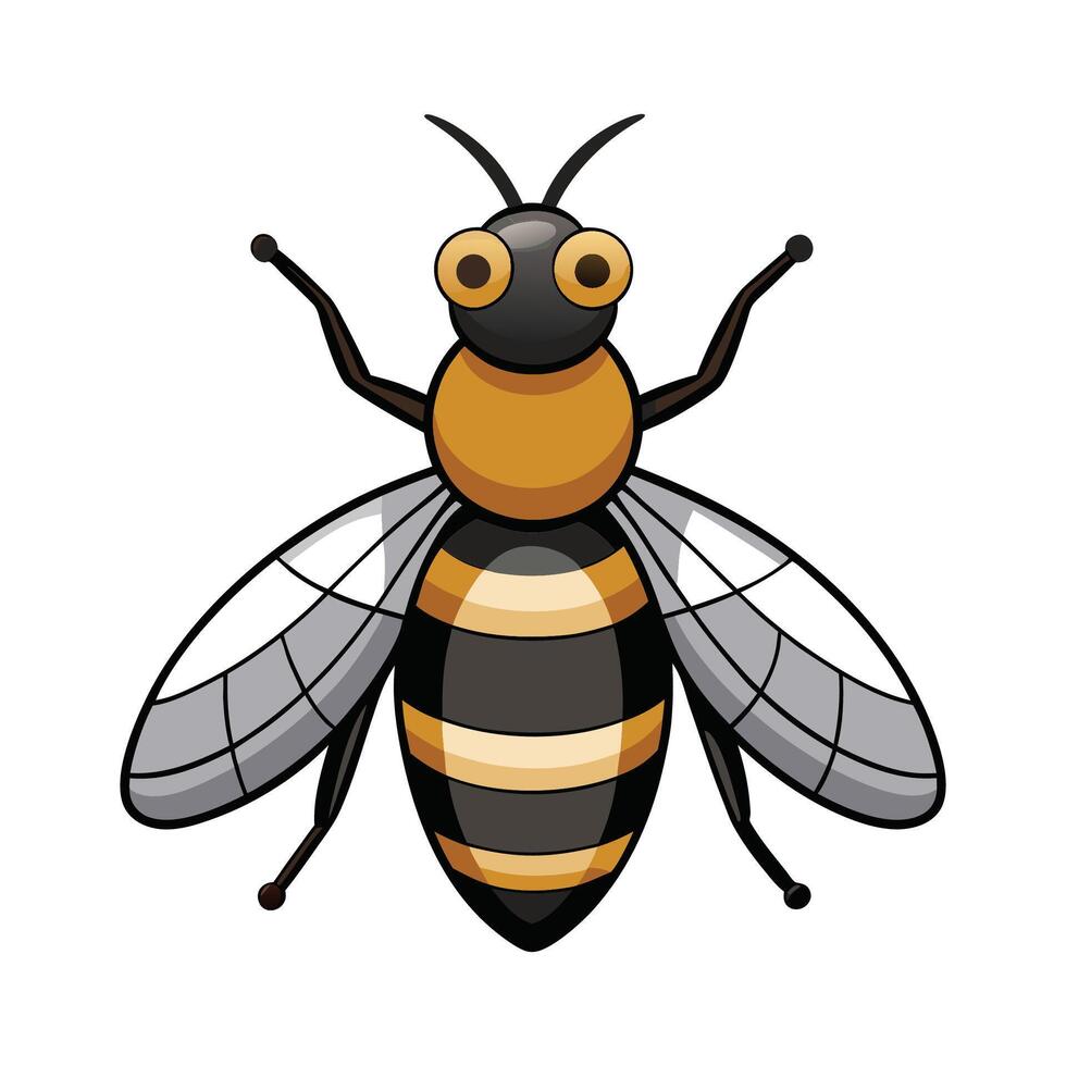 Eristalis Tenax Stunning Representation vector