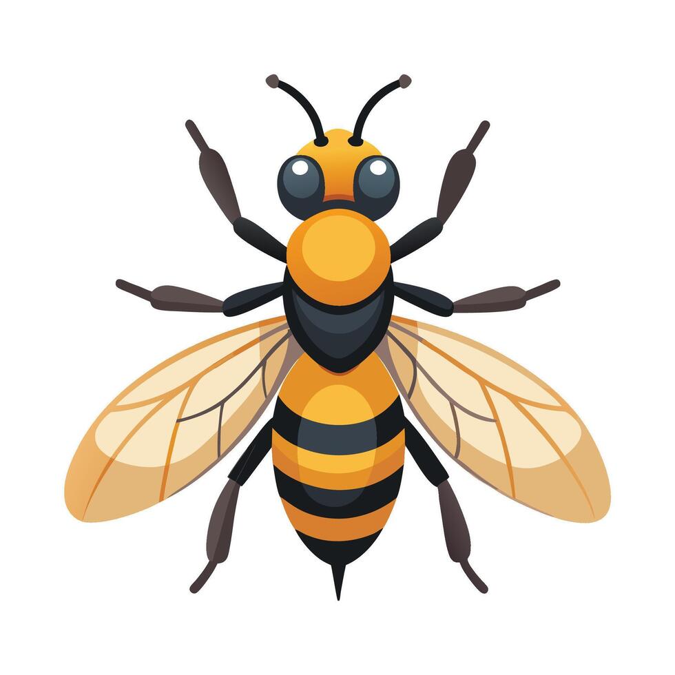 Eristalis Tenax Engaging Design vector