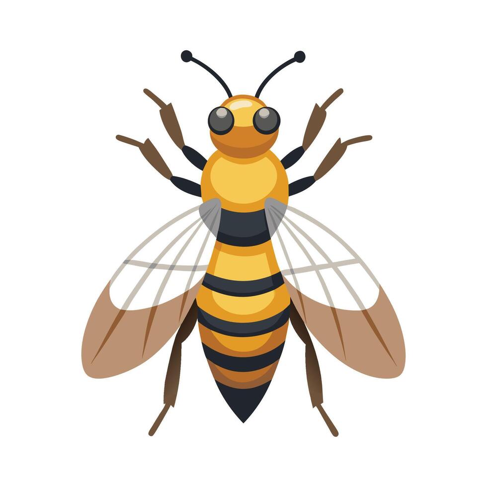 Eristalis Tenax Unique Art vector