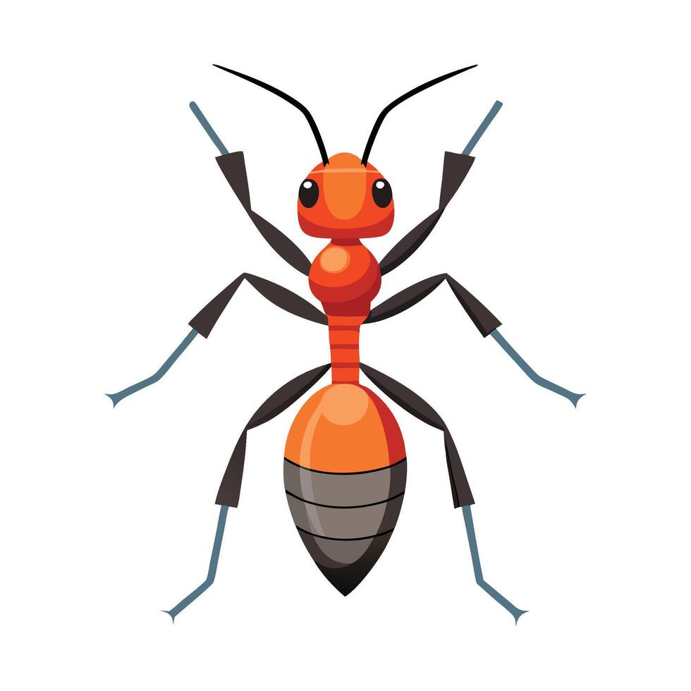 Formica Rufa Unique Art vector