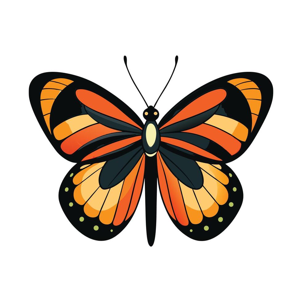 Heliconius Charithonia Stunning Representation vector
