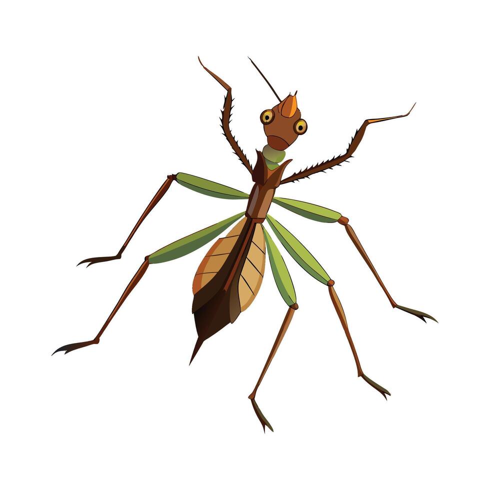Heteropteryx Dilatata Engaging Design vector