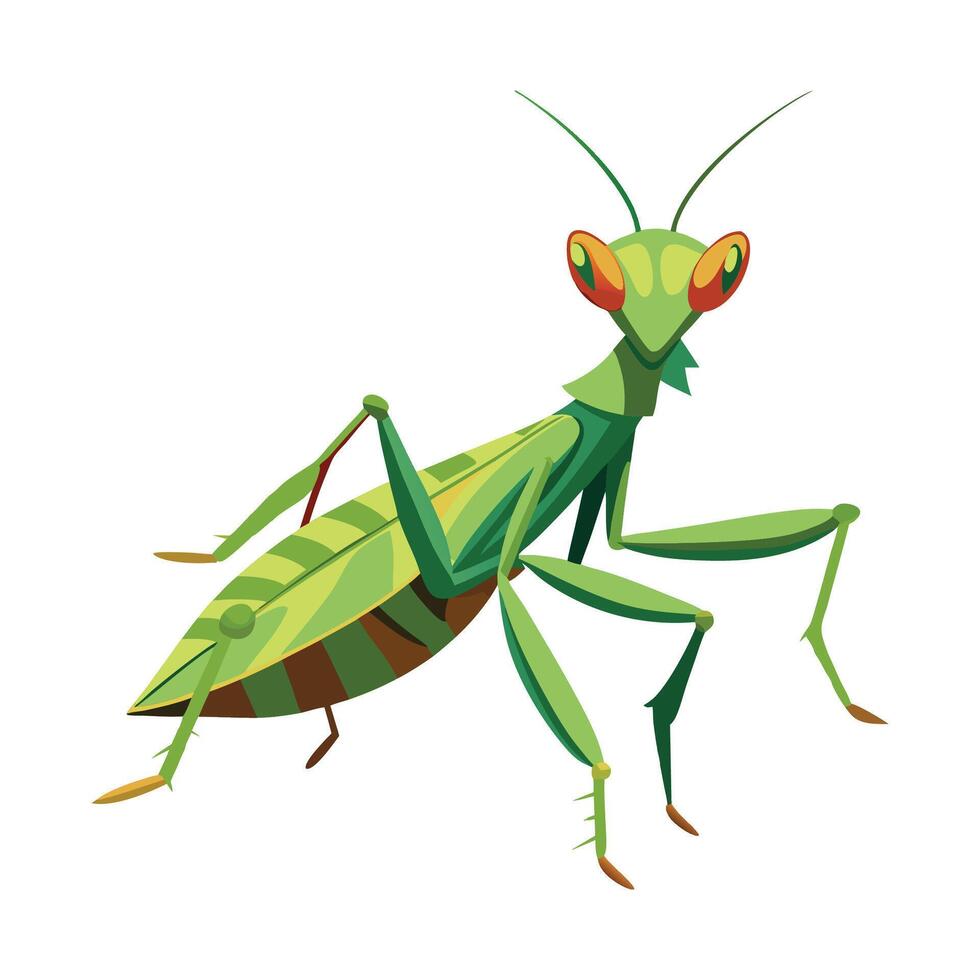 Hierodula Membranacea Artistic Design vector