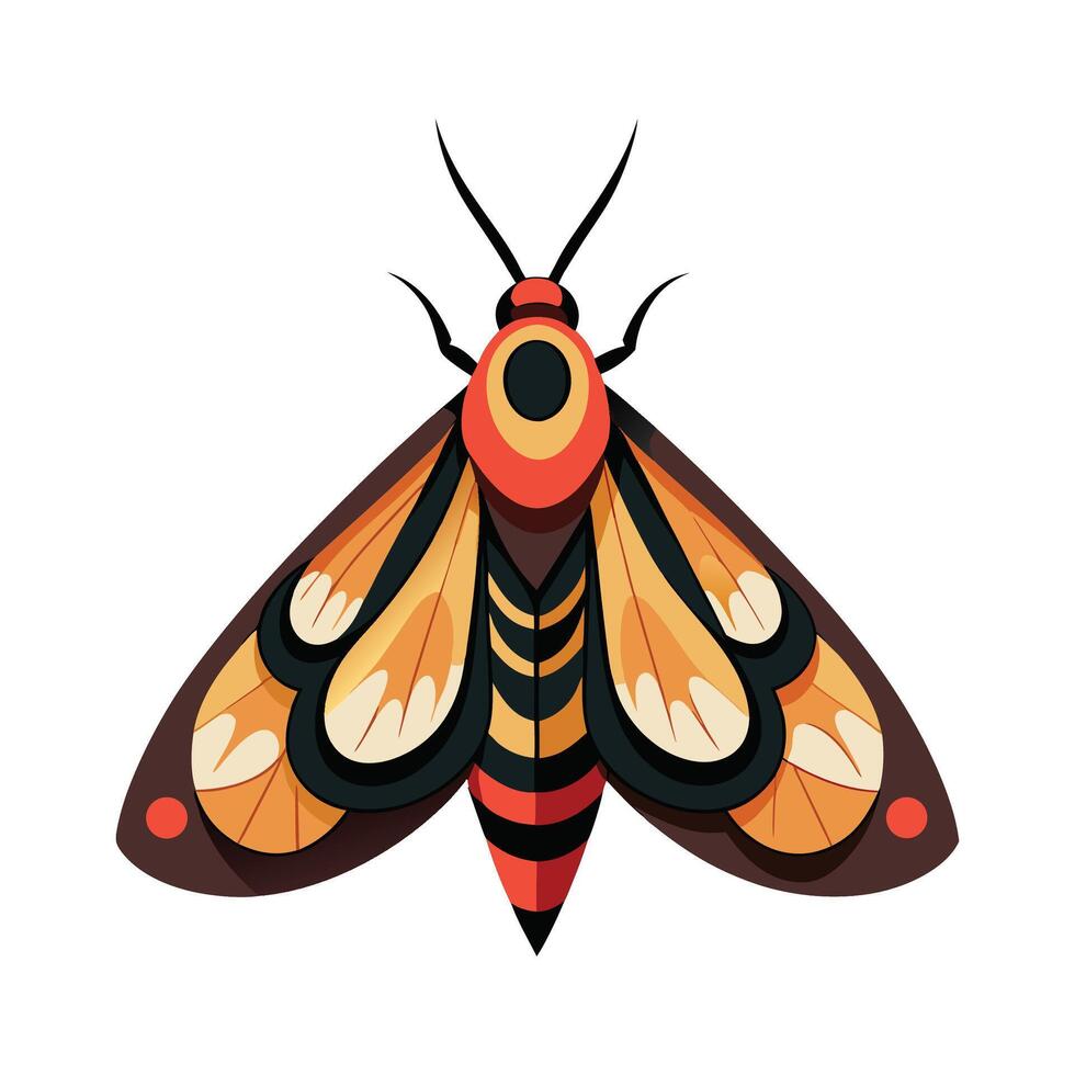 Hypomecis Roboraria Stunning Representation vector