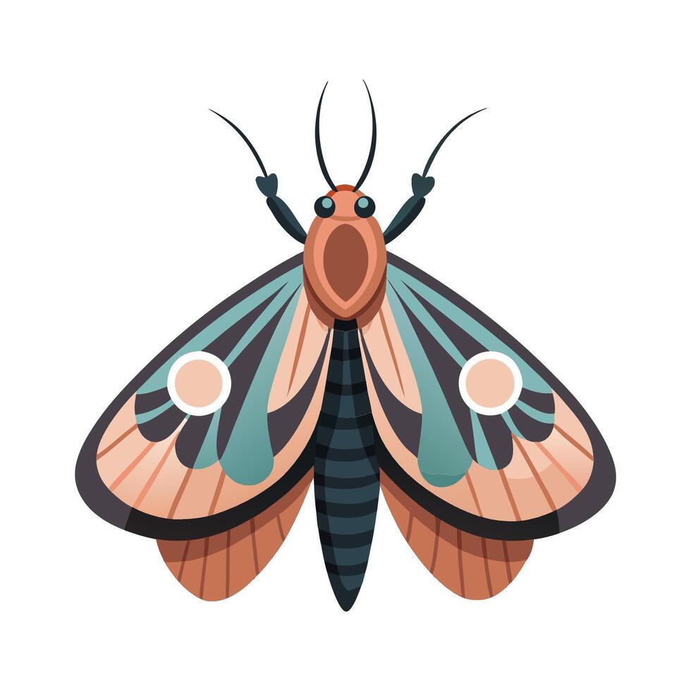 Lasiocampa Quercus Engaging Design vector