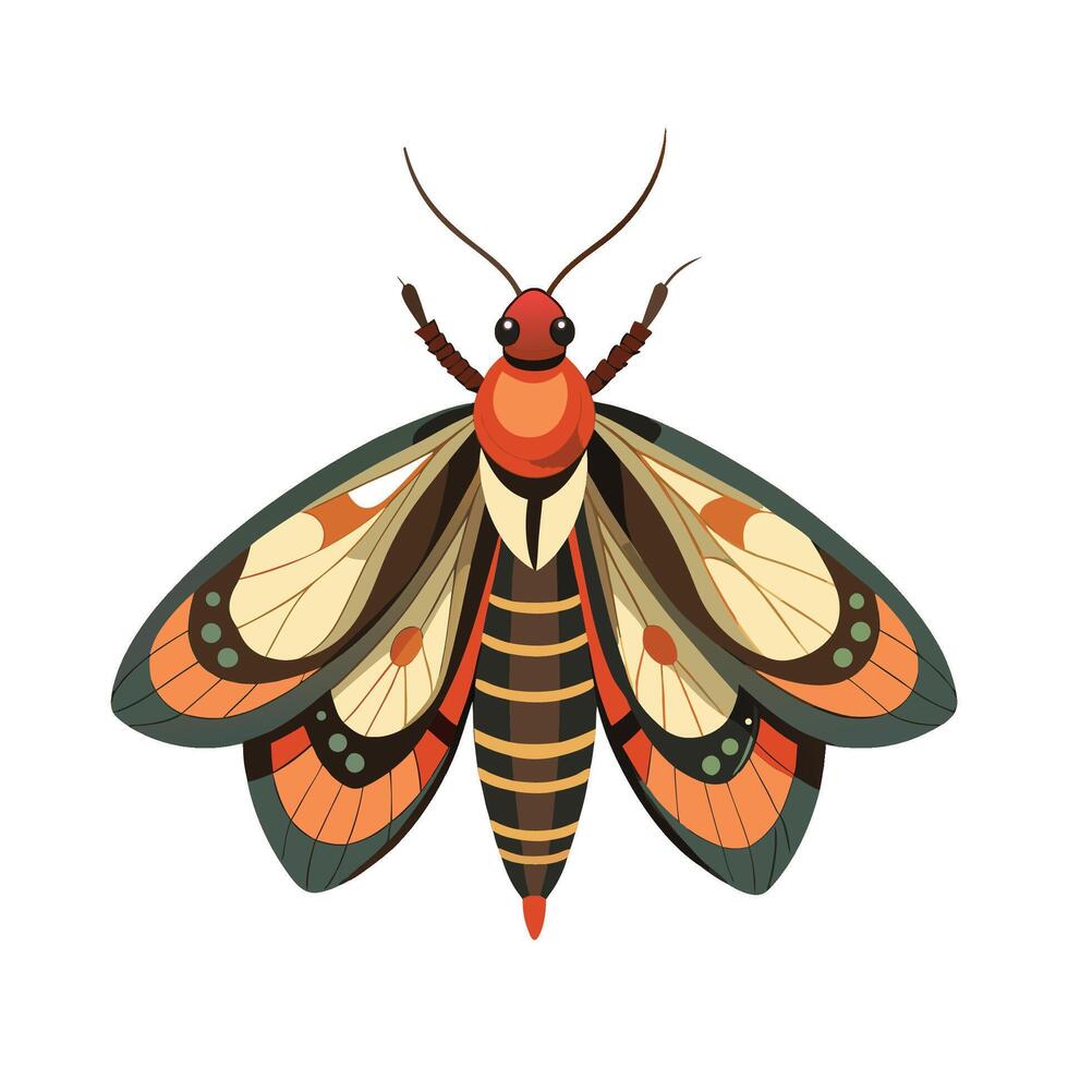 Lasiocampa Quercus Unique Art vector