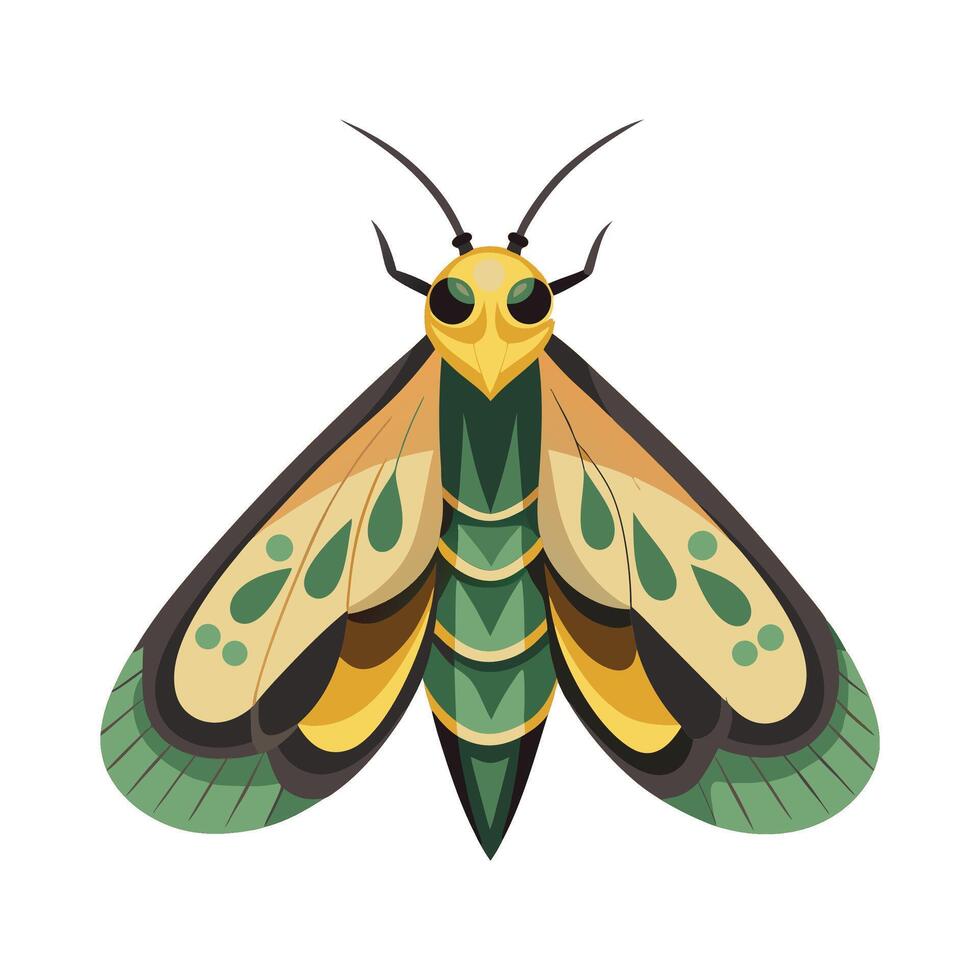 Lasiocampa Quercus Artistic Design vector