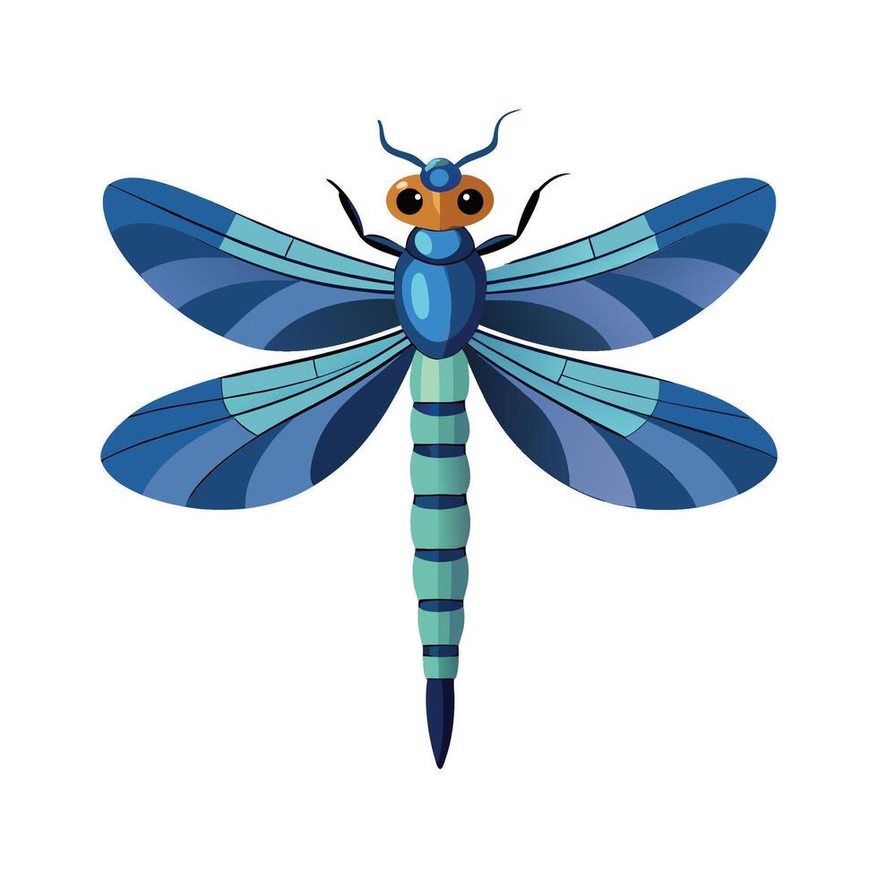 Libellula Depressa Stunning Representation vector