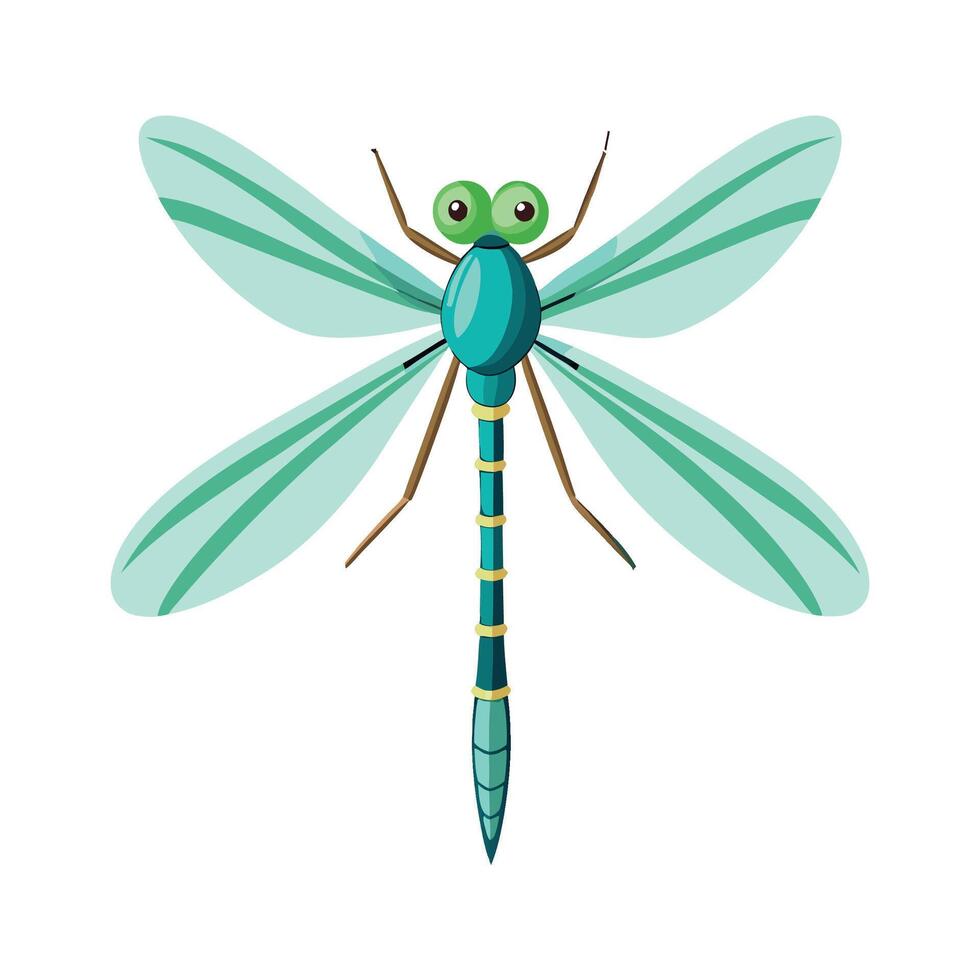 Lestes Viridis Stunning Representation vector