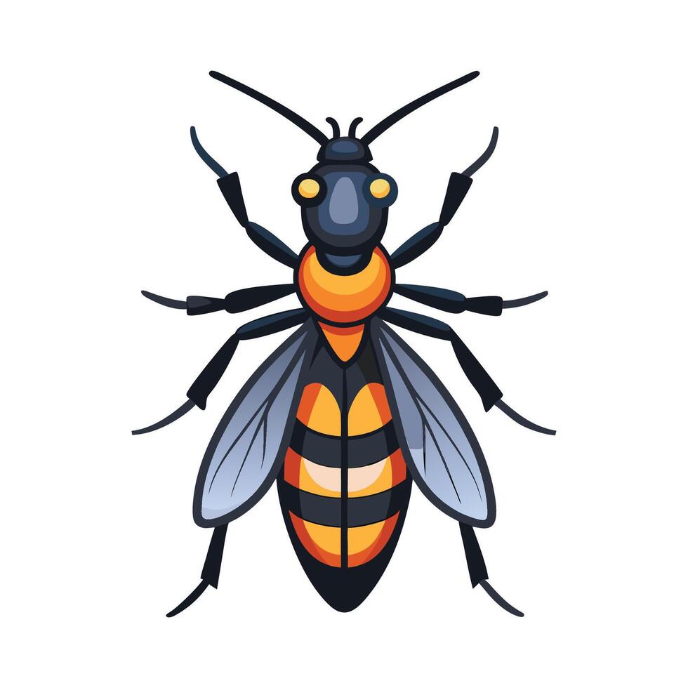 Lygaeus Equestris Unique Art vector