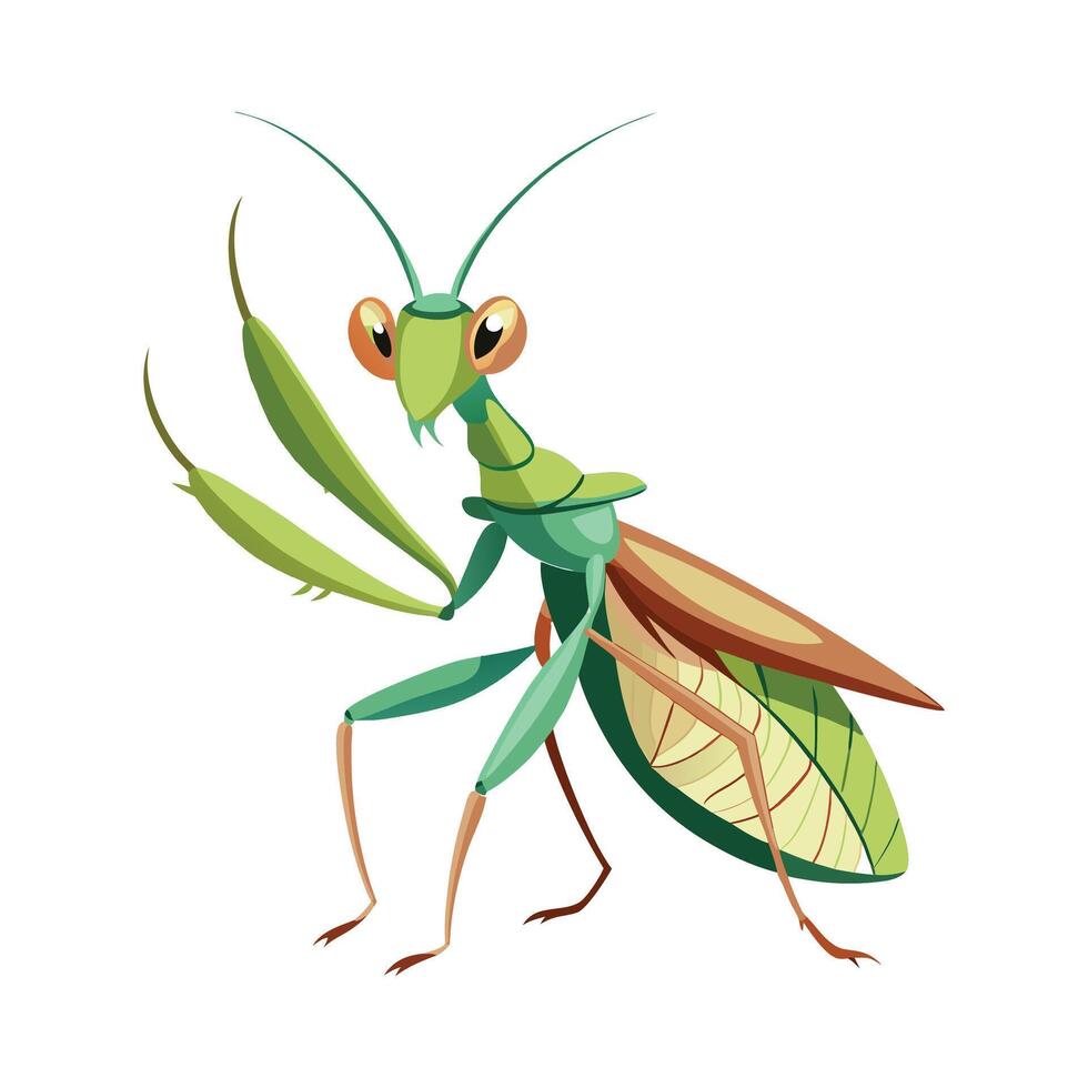Macromantis Hyalina Unique Art vector