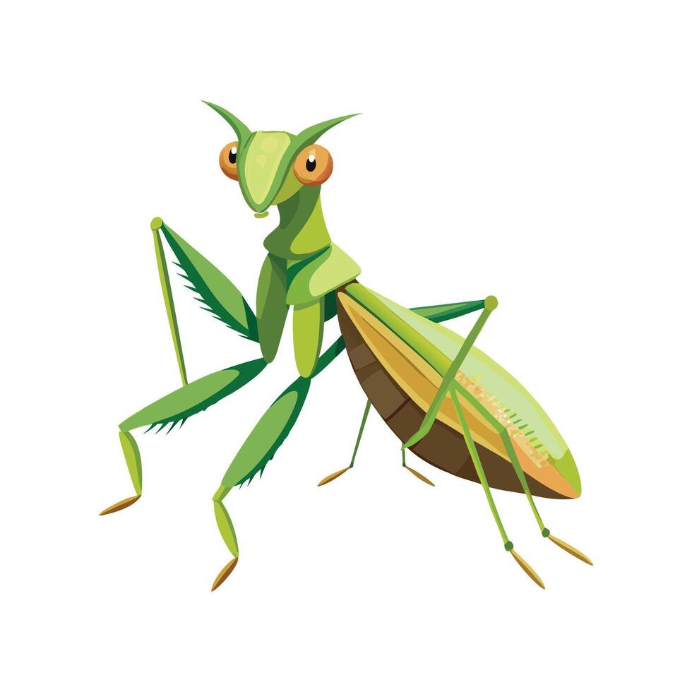 Mantis Religiosa Engaging Design vector