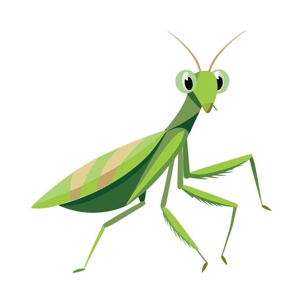 Mantis Religiosa Artistic Design vector