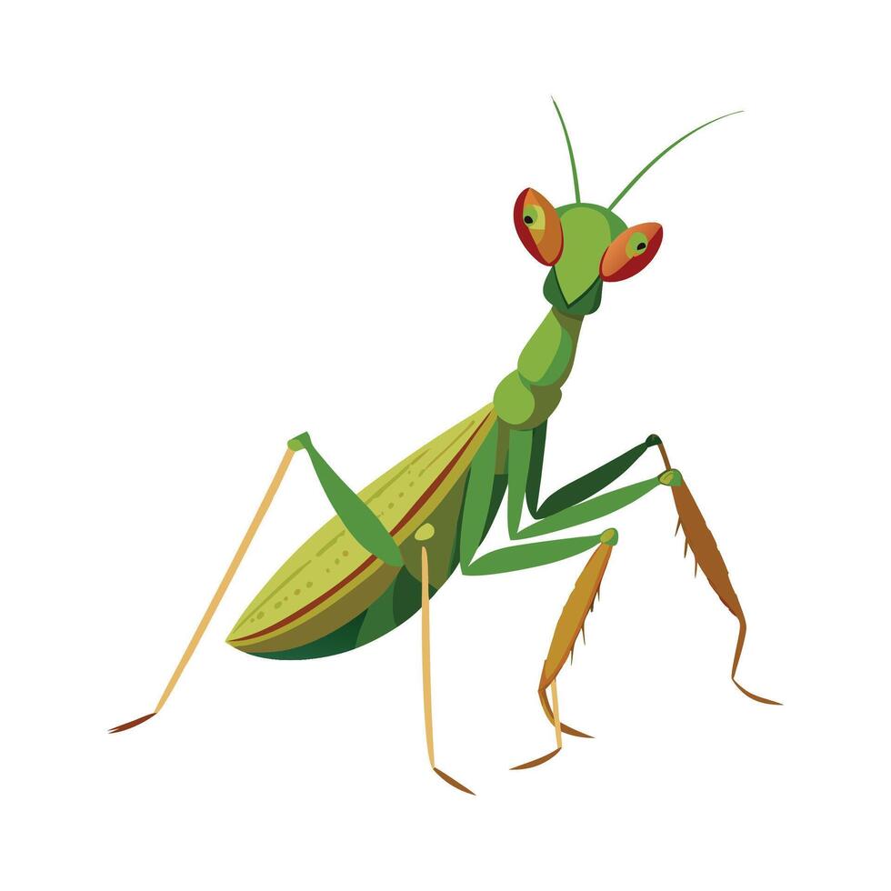 Mantis Religiosa Unique Art vector