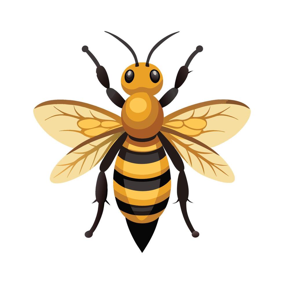 Megachile Pluto Engaging Design vector