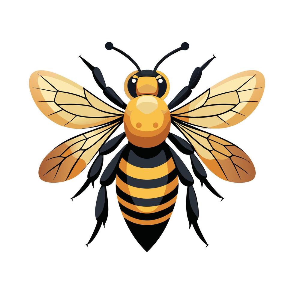 Megachile Rotundata Stunning Representation vector