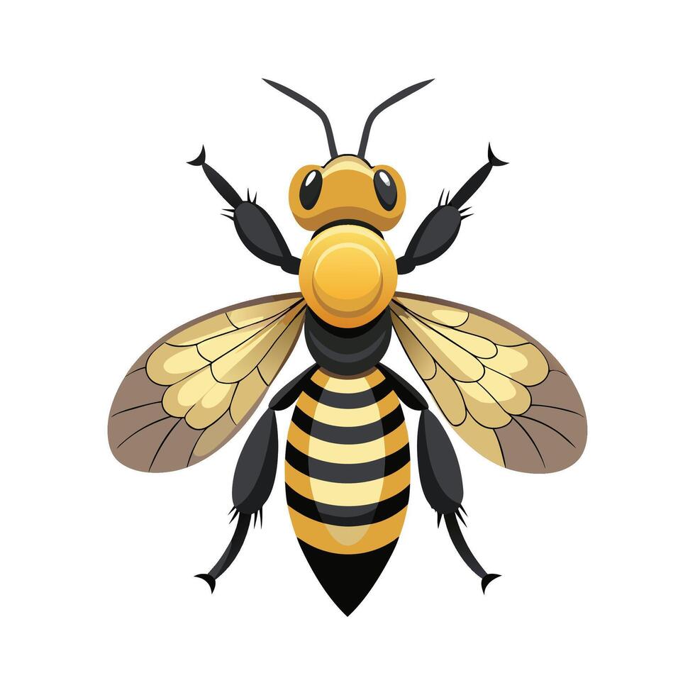 Megachile Rotundata Artistic Design vector