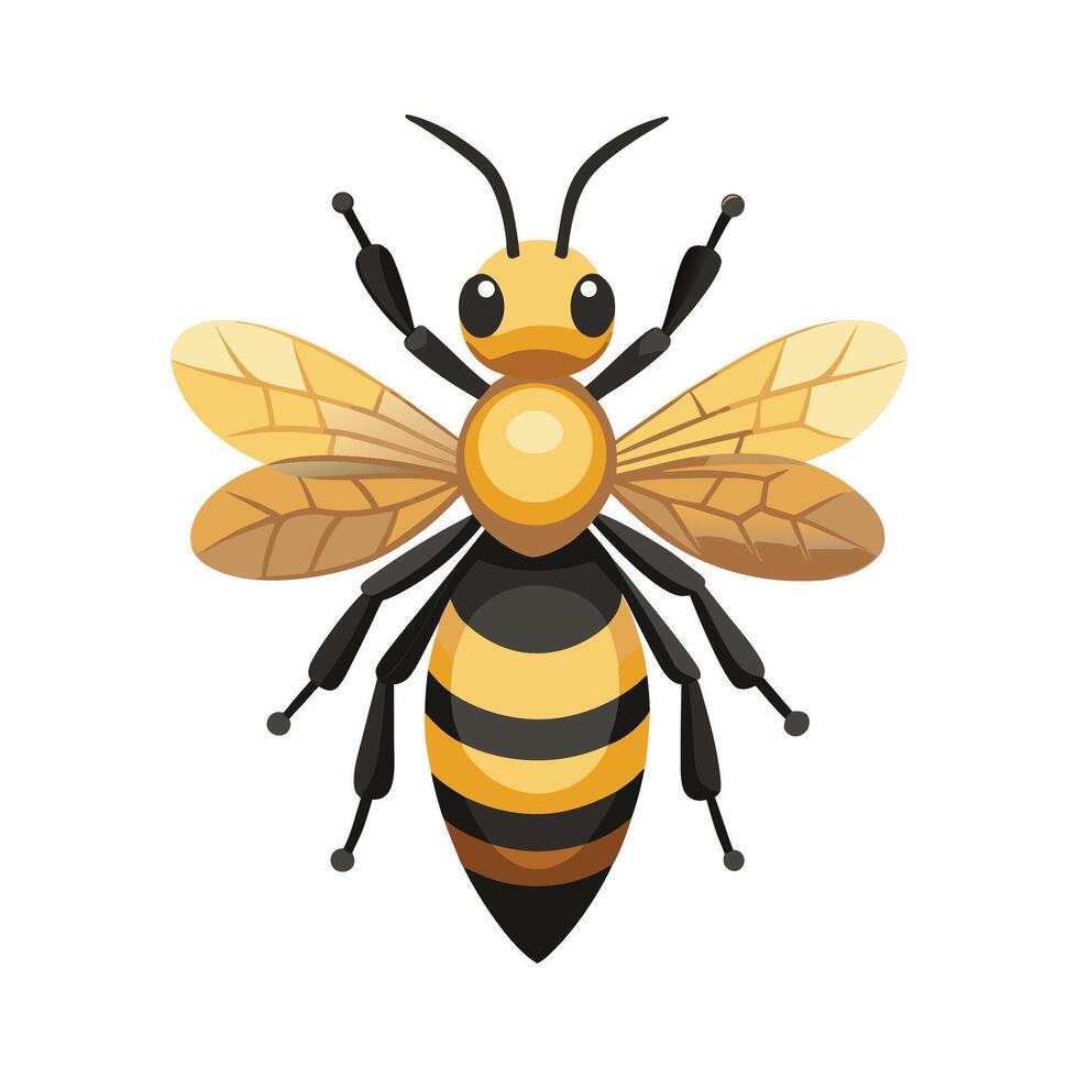 Melipona Beecheii Engaging Design vector