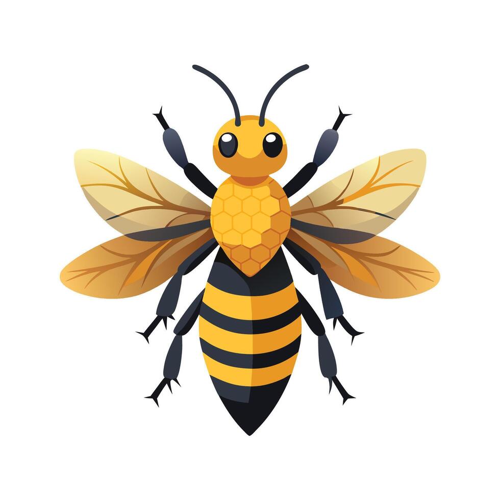 Melipona Beecheii Artistic Design vector