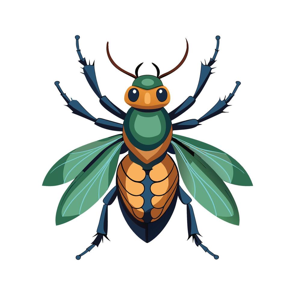 Meloe Proscarabaeus Unique Art vector